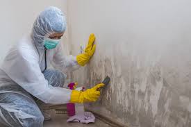 Thompson Falls, MT Mold Remediation Company